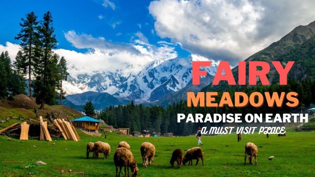 Discover the Magic of Fairy Meadows : A Traveler’s Guide
